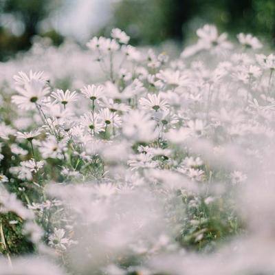 SpaceX据悉计划IPO募资750亿美元 规模将创下全球最高纪录